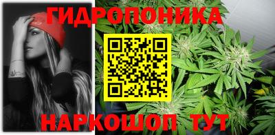 эйфоретик Будённовск