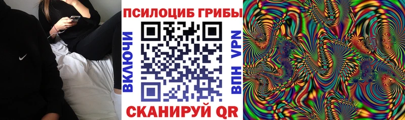 Галлюциногенные грибы Cubensis  mega онион  Нерюнгри 