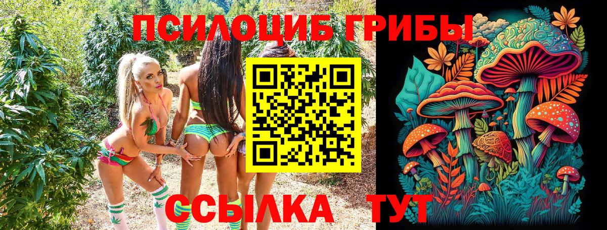 Галлюциногенные грибы MAGIC MUSHROOMS Нерюнгри