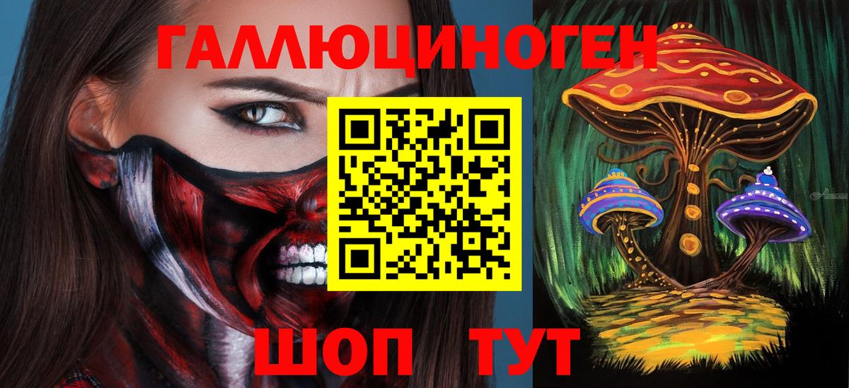 Нерюнгри  Галлюциногенные грибы GOLDEN TEACHER  Вход с VPN 